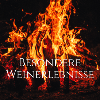 Feuerstelle mit Gästen bei einem Weinerlebnis im Weinberg.