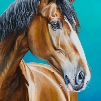 Warmblut Titus als Acrylgemälde