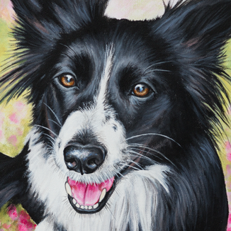Hundegemälde in Acryl Original Border Collie