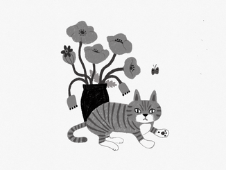 猫とケシの花