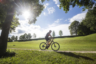 Bei einem Beratungsgespräch in einem der e-motion e-Bike Shops können Sie alles über Zubehör zum Trekking e-Bike erfahren