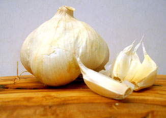 Knoblauchknolle auf Holzbrett