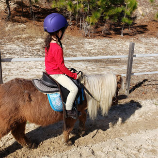 Love Horseback riding Camp at Pony Gang Equestrian Services