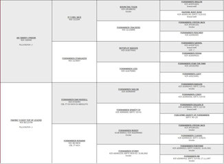 Lyndon Legend (ENCI-FCI-Export-Pedigree)