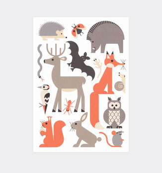 Postkarte Waldtiere . Tier des Waldes . Wald . für Kinder . Julia Matzke . Illustration . Bilder für Kinder