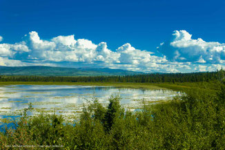 Mit dem Wohnmobil durch Alaska und den Yukon