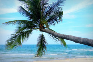 Koh Samui, Thailand, Reisetipps, Reiseführer, Sehenswürdigkeiten, Wissenswertes, Die Traumreiser