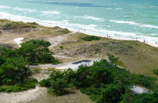 Ostsee bei Darss