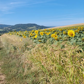 randonnée au départ du gite Le Clos des Laves sur la commune des Deux-Rives