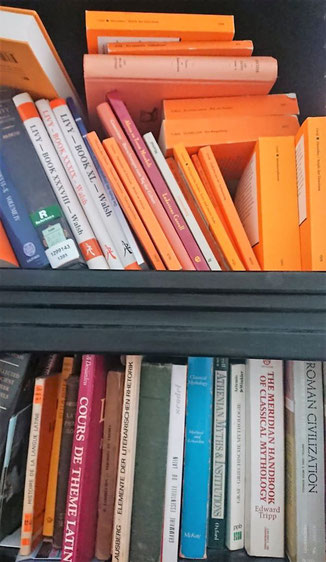 Bücherregal im HomeOffice von Marianne Wild 