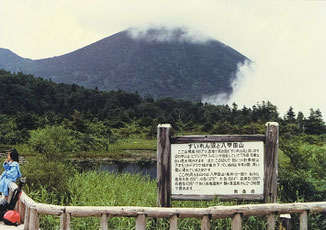八甲田山水連沼・夏
