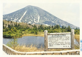 八甲田山水連沼・春