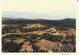 八甲田山毛無岱湿原・晩冬(1986年撮影)