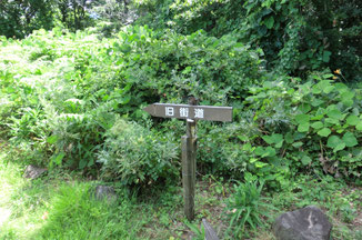古道(旧街道)と遊歩道分岐点