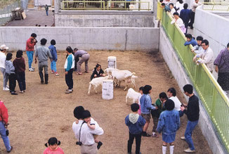 阿仁マタギクマ牧場（くまくま園）