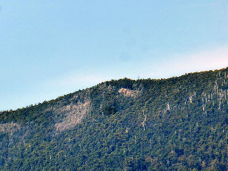 Rock outcrop on Mt Cygnet – my destination