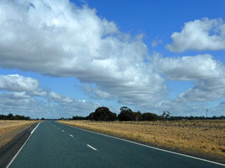 Cloud streets over the Newell Highway