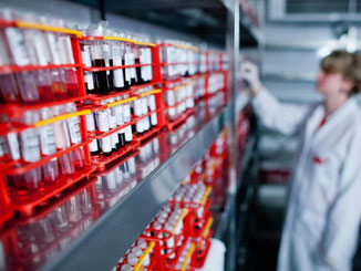 Der DKMS-Tag brachte neue potenzielle Stammzellspender. Foto: O. Killig/Archiv