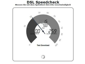 Geschwindigkeitstest einer DSL-Leitung. Foto: Ole Spata