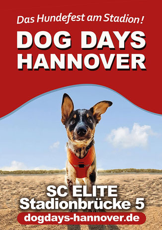 dog days hannover dog days hannover das hundefest am stadion