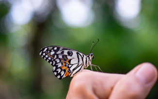 Foto: © Anan – stock.adobe.com