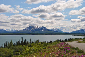 Aussicht über den Kluane Nationalpark auf der Mietwagenreise durch den Yukon