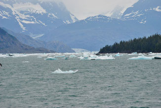 Bootstour durch den Prince William Sound auf der Mietwagenreise durch Alaska