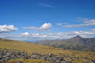 Aussicht über die Tundra auf der Mietwagenreise durch den Yukon
