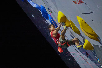 Sascha Lehmann fighting