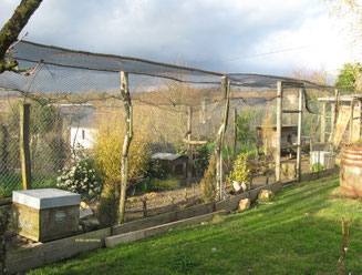 extérieur de la volière de 33 m2