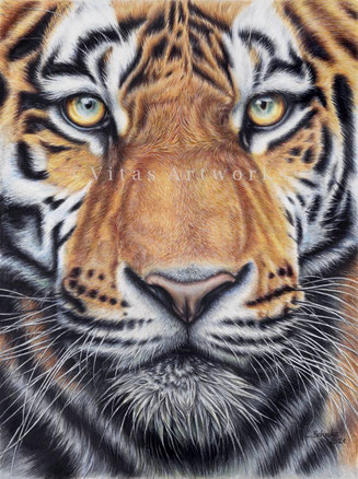 ausdrucksstarkes Tigerportrait - Originalkunstwerk