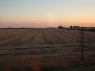 Abgeerntete Felder in Illinois bei Sonnenuntergang