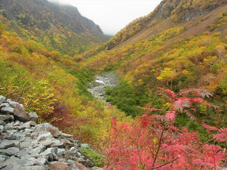 横尾本谷方面の紅葉