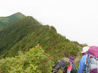 サワガニ山を越えるとやせ尾根の稜線です