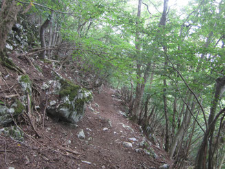 ササ峠からは道もはっきりと。