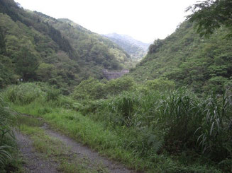 二つ目の大きな堰堤を越えて入渓