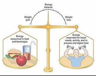 balance energético, adelagazamiento saludable, ejercicio saludable, salud, dieta