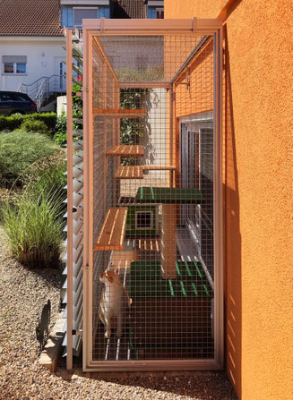 Bild: Katzengehege der Katzenpension