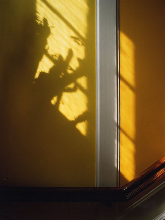 Sunlight, wall, bannister; Copenhagen, Denmark.