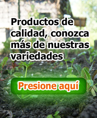 vivero valentin