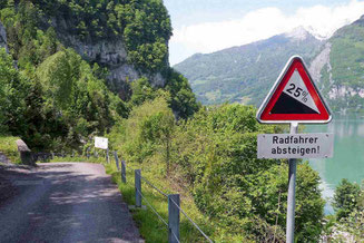 Feldweg mit Mohnblumen