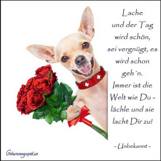 Geburtstagswünsche - Sprüche für Wünsche zum Geburtstag