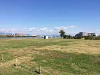 淀川河川敷太子橋BBQ場
