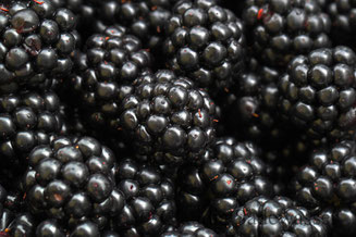 Brombeere