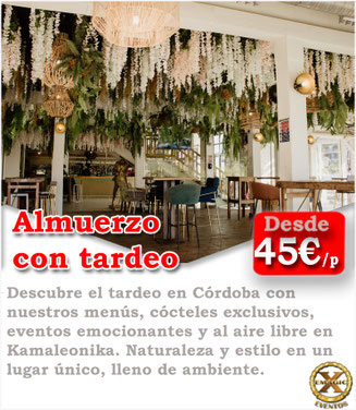karaoke despedidas cordoba