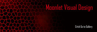 Moonlet Visual Design