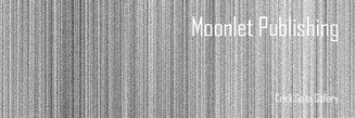 Moonlet Publish Design