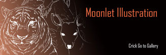 Moonlet Illustration