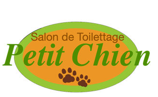 Salon de Toilettage Petit Chien