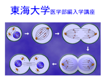 東海大学医学部一般編入試験対策講座 清光編入学院 医歯薬獣医編入大学院入試 学士 社会人 大学生